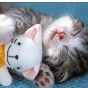 Meet your Posher, Briana